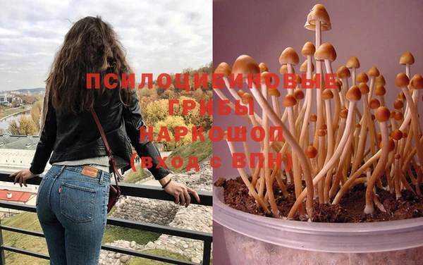 марихуана Заводоуковск