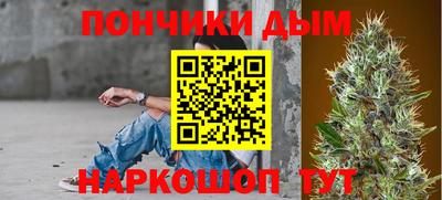 гашик Дубна