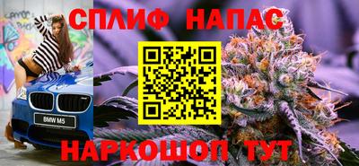 гашик Дубна