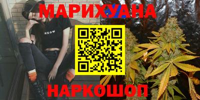 гашик Дубна