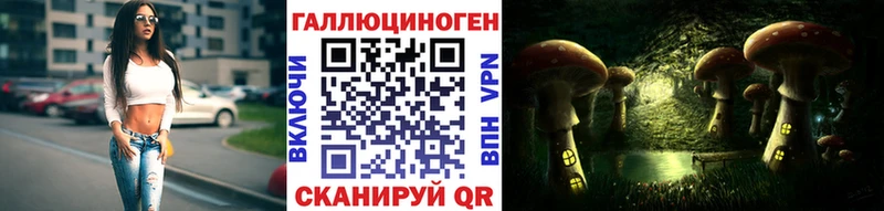 продажа наркотиков  Вязники  Псилоцибиновые грибы мухоморы 