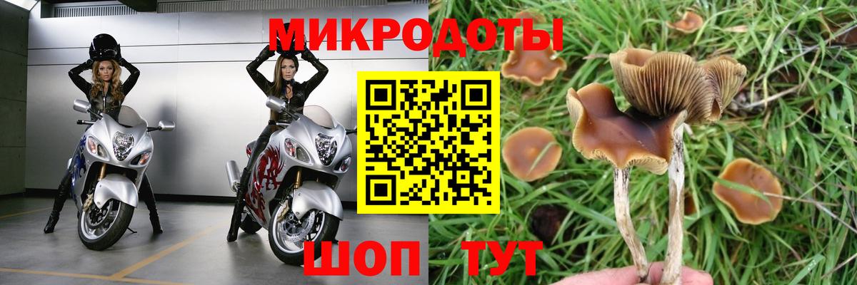 Псилоцибиновые грибы Psilocybe  Вход с VPN  Галлюциногенные грибы Psilocybine cubensis  Вязники 