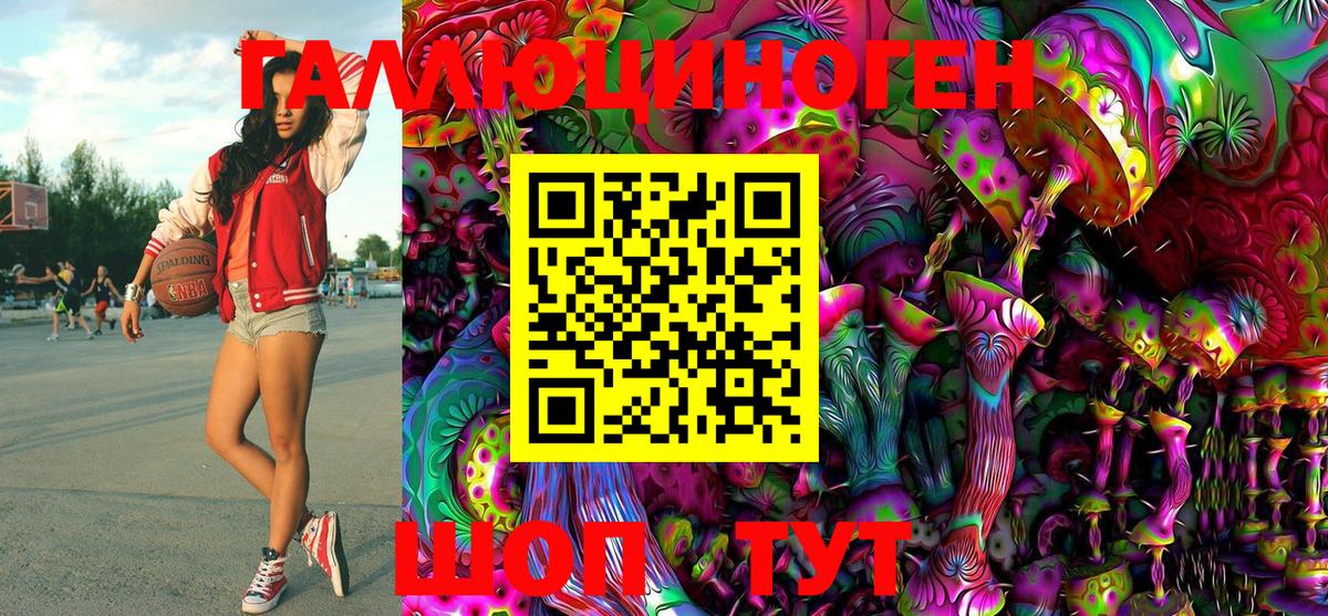 Псилоцибиновые грибы ЛСД  наркошоп  Вязники  Галлюциногенные грибы GOLDEN TEACHER 